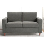 Loveseat voor de woonkamer, 55 inch, gestoffeerd in overgangsstijl