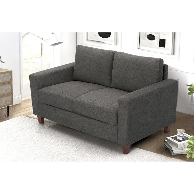 Loveseat voor de woonkamer, 55 inch, gestoffeerd in overgangsstijl