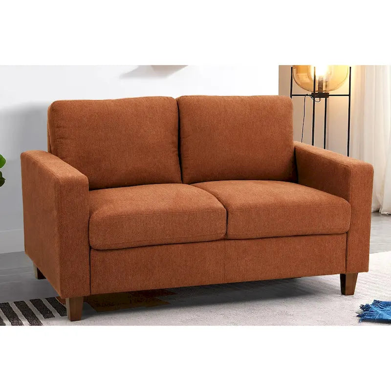 Loveseat voor de woonkamer, 55 inch, gestoffeerd in overgangsstijl