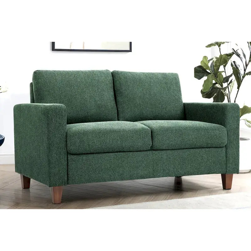 Loveseat voor de woonkamer, 55 inch, gestoffeerd in overgangsstijl