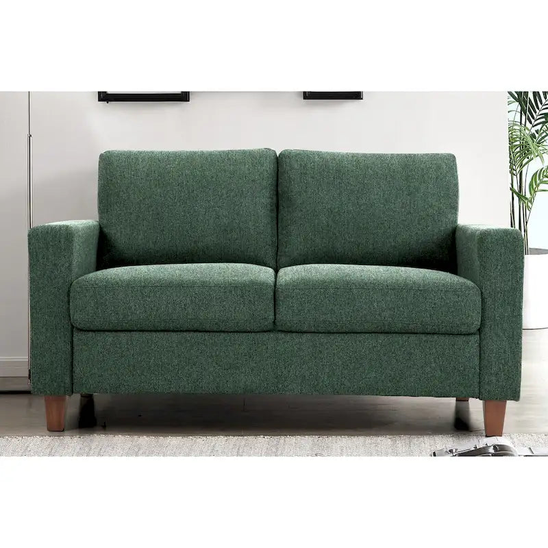 Loveseat voor de woonkamer, 55 inch, gestoffeerd in overgangsstijl