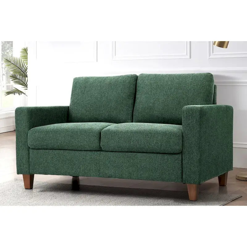 Loveseat voor de woonkamer, 55 inch, gestoffeerd in overgangsstijl